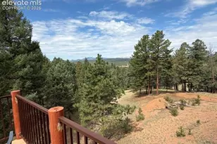 269 Southpark Rd, Florissant, CO 80816 - Photo 45