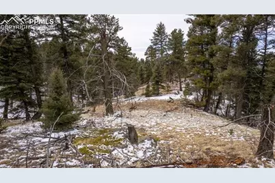 3388-3410 N Mountain Estates Road, Florissant, CO 80816 - Photo 27