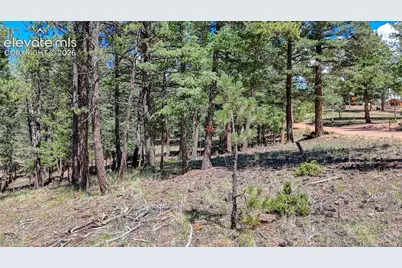 105 Carlton Circle, Florissant, CO 80816 - Photo 19
