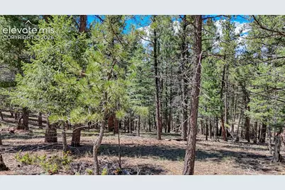 105 Carlton Circle, Florissant, CO 80816 - Photo 21
