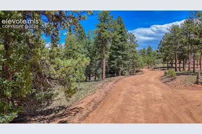 105 Carlton Circle, Florissant, CO 80816 - Photo 7