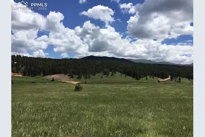 4600 Elk Valley Road, Divide, CO 80814 - Photo 3