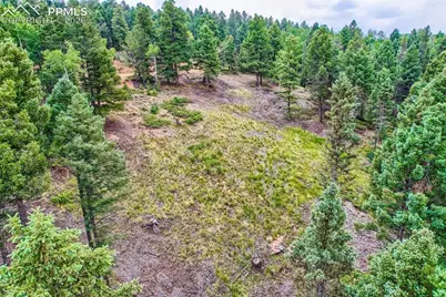 4600 Elk Valley Road, Divide, CO 80814 - Photo 9