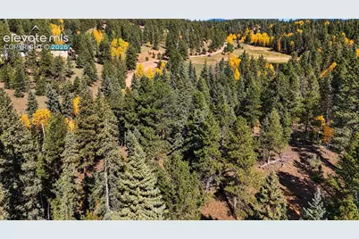 11 Nebraska Circle, Florissant, CO 80816 - Photo 5