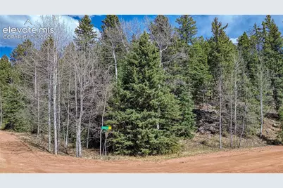 3075 N Mountain Estates Road, Florissant, CO 80816 - Photo 3