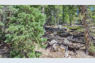3075 N Mountain Estates Road, Florissant, CO 80816 - Photo 5