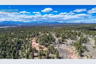 3075 N Mountain Estates Road, Florissant, CO 80816 - Photo 9