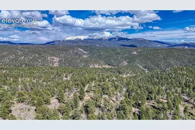 3075 N Mountain Estates Road, Florissant, CO 80816 - Photo 13