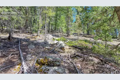 3075 N Mountain Estates Road, Florissant, CO 80816 - Photo 15