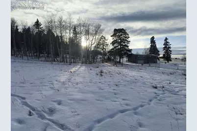Will Scarlet Drive, Divide, CO 80814 - Photo 19