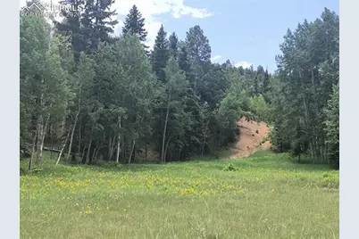 Will Scarlet Drive, Divide, CO 80814 - Photo 7