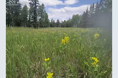 Will Scarlet Drive, Divide, CO 80814 - Photo 13