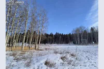 Will Scarlet Drive, Divide, CO 80814 - Photo 23