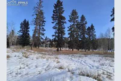 Will Scarlet Drive, Divide, CO 80814 - Photo 15