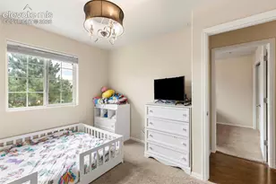 3011 Shikra View, Colorado Springs, CO 80916 - Photo 31