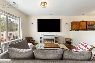 3011 Shikra View, Colorado Springs, CO 80916 - Photo 11