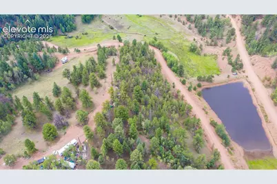 229 Vivenda Road, Cripple Creek, CO 80813 - Photo 3