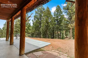 918 Douglas Fir Dr, Woodland Park, CO 80863 - Photo 5
