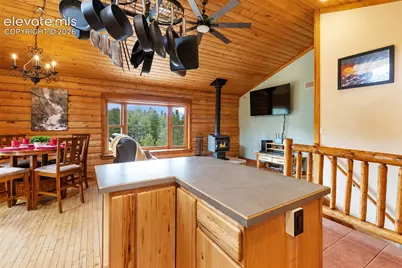 918 Douglas Fir Drive, Woodland Park, CO 80863 - Photo 15