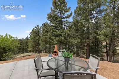 918 Douglas Fir Drive, Woodland Park, CO 80863 - Photo 7