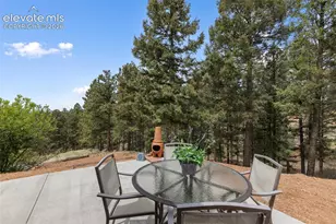 918 Douglas Fir Dr, Woodland Park, CO 80863 - Photo 7