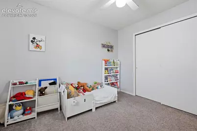 7937 Ferncliff Drive, Colorado Springs, CO 80920 - Photo 15
