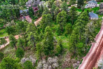 Buena Vista Avenue, Palmer Lake, CO 80133 - Photo 5