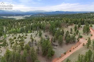 247 Pinewood Rd, Florissant, CO 80816 - Photo 27