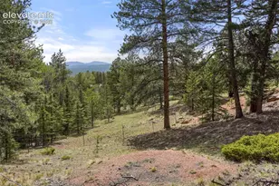 247 Pinewood Rd, Florissant, CO 80816 - Photo 25