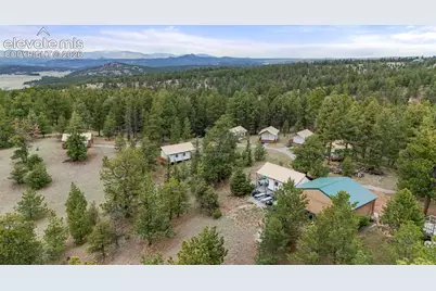 247 Pinewood Road, Florissant, CO 80816 - Photo 5