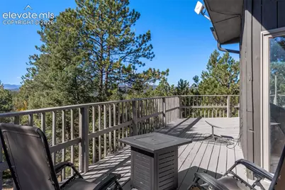 247 Pinewood Road, Florissant, CO 80816 - Photo 15