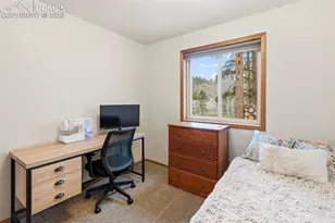 200 Sun Ridge Ct, Woodland Park, CO 80863 - Photo 33
