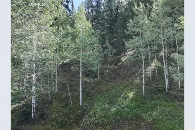 490 Willow Road, Divide, CO 80814 - Photo 9