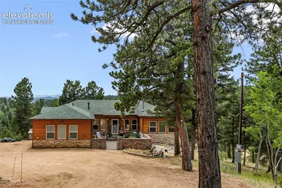 185 Bear Lake Circle, Divide, CO 80814 - Photo 3