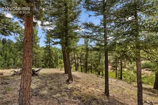 185 Bear Lake Cir, Divide, CO 80814 - Photo 9