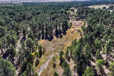 13354 N Meridian Road, Elbert, CO 80106 - Photo 9
