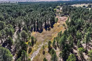 13354 N Meridian Rd, Elbert, CO 80106 - Photo 9