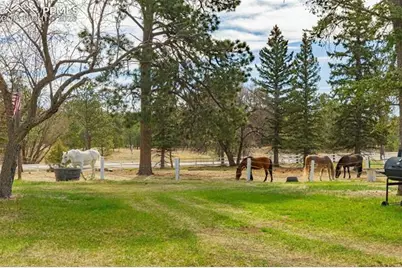 13354 N Meridian Road, Elbert, CO 80106 - Photo 7
