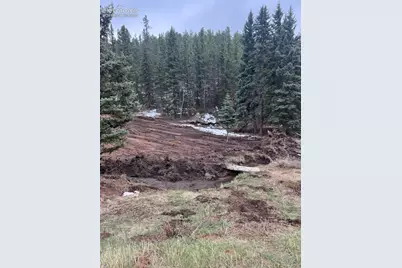 1570 Pathfinder Road, Florissant, CO 80816 - Photo 5