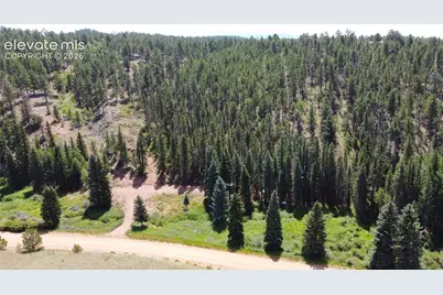 1570 Pathfinder Road, Florissant, CO 80816 - Photo 3
