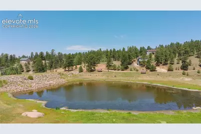 787 Spring Valley Lane, Florissant, CO 80816 - Photo 17