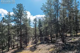 457 Stonehenge Dr, Florissant, CO 80816 - Photo 37