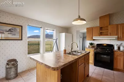 463 Snowshoe Lane, Lake George, CO 80827 - Photo 19