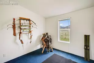 463 Snowshoe Ln, Lake George, CO 80827 - Photo 37
