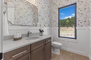 1405 Red Hvn Pl, Woodland Park, CO 80863 - Photo 29