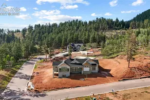 1405 Red Hvn Pl, Woodland Park, CO 80863 - Photo 31