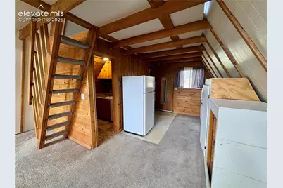 207 E Lake Avenue, Woodland Park, CO 80863 - Photo 9