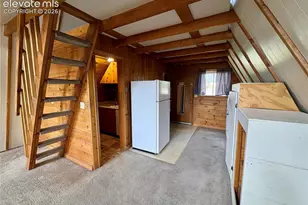 207 E Lake Ave, Woodland Park, CO 80863 - Photo 9