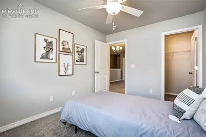 4511 Samaritan Loop, Colorado Springs, CO 80916 - Photo 41