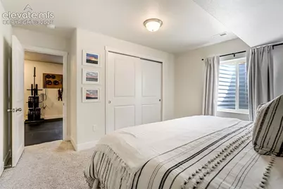 9138 Buffalo Bur Trail, Colorado Springs, CO 80925 - Photo 37